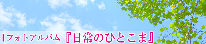 フォトアルバム日常のひとこま